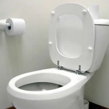 toilet installed in Toronto bathroom