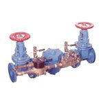 Backflow preventer with double check detector assembly.