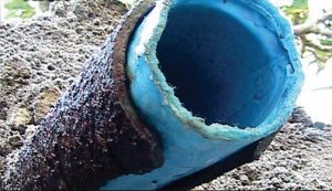 a damaged pipe with cured in place pipe repair clearly visible exposed at the end of the pipe