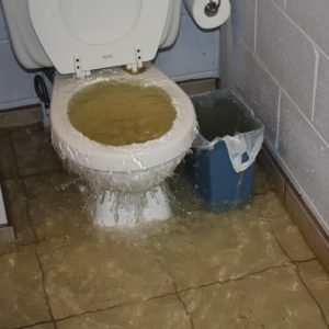a toilet is visible inside the bathroom of a toronto home, water is pouring out of the top as it overflows