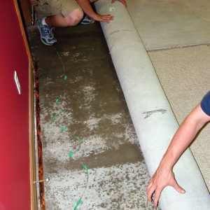 flood water got below this carpet which is being removed by water restoration workers to prevent mold