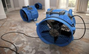 fans sit on the floor in a wet basement and aid in the evaporation of flood water