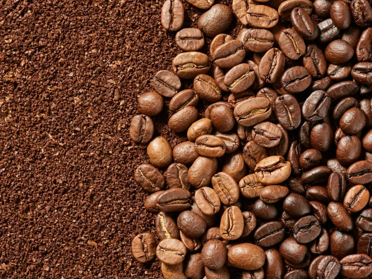 A close-up view of whole coffee beans on the right side and ground coffee on the left side, showing a clear texture contrast between the two forms of coffee.