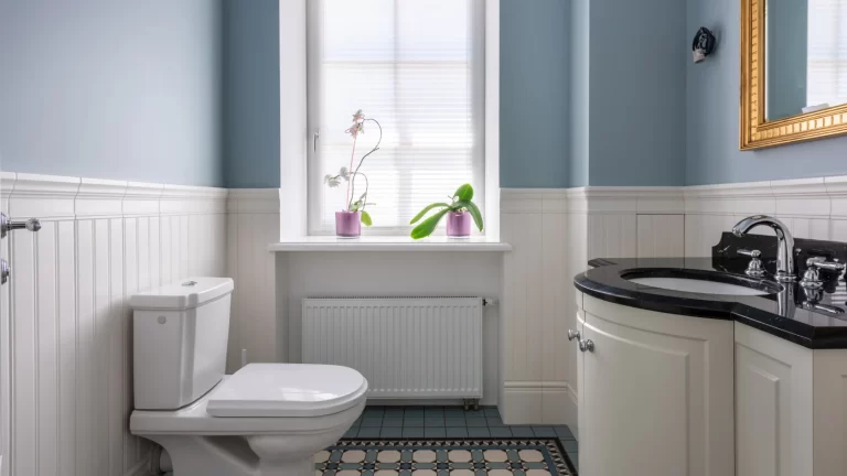 A bathroom with blue walls, white wainscoting, a toilet, a black countertop sink, and a window above a radiator. Two potted plants sit on the windowsill, with patterned floor tiles below.