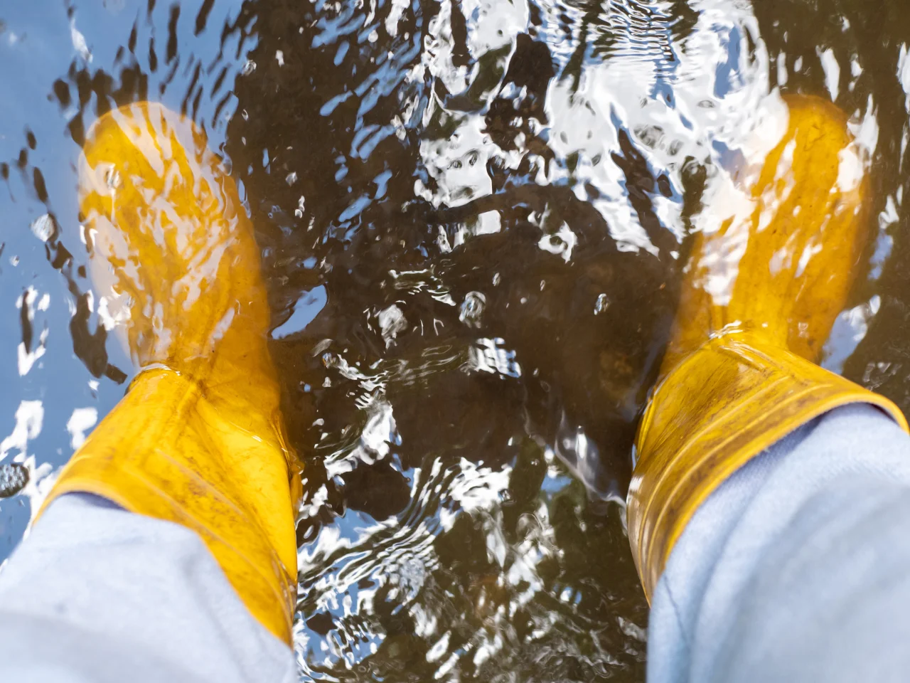 Person wearing yellow rain boots standing in shallow, muddy water. The boots are partially submerged, and ripples are visible on the waters surface. Denim pant legs are visible above the boots.