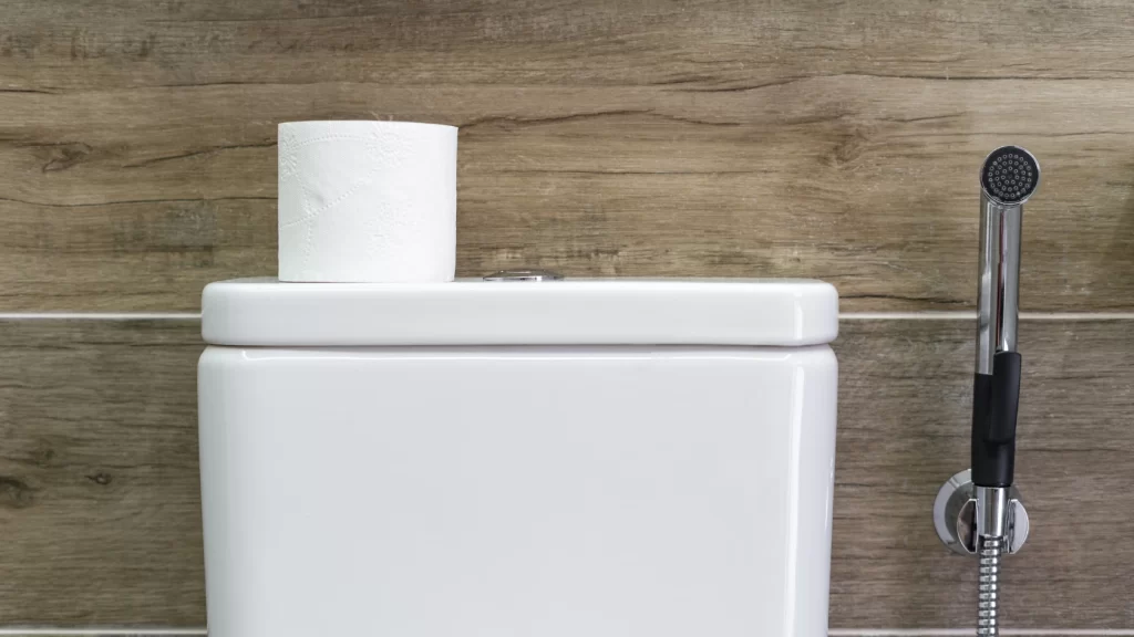 A roll of toilet paper sits on top of a white toilet tank. A handheld bidet sprayer is mounted on the wall beside the toilet. The background features wood-patterned wall tiles.