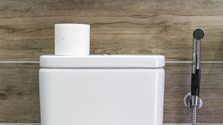 A roll of toilet paper sits on top of a white toilet tank. A handheld bidet sprayer is mounted on the wall beside the toilet. The background features wood-patterned wall tiles.
