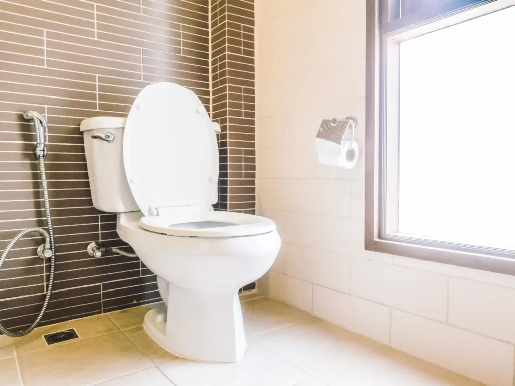 A clean bathroom with a white toilet, a bidet spray attached to the wall, a toilet paper holder with a roll, and a large window letting in natural light. The walls are tiled in brown and white.