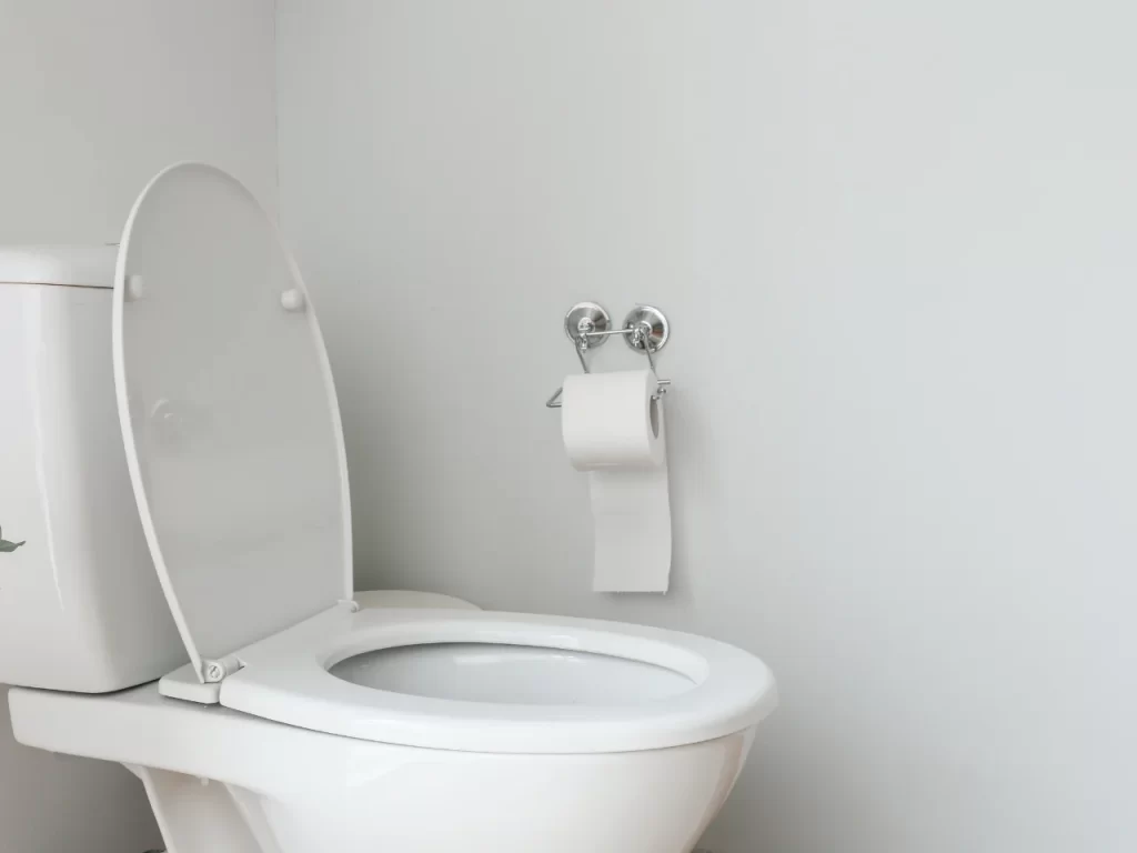 A white toilet with the lid open is next to a wall-mounted toilet paper holder with a roll of toilet paper in a clean, minimal bathroom with white walls.