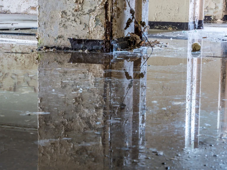 A close-up view of a weathered, peeling wall—its base reflected in a puddle of water—highlights the need for drain repair and plumbing in Toronto’s aging, abandoned buildings.