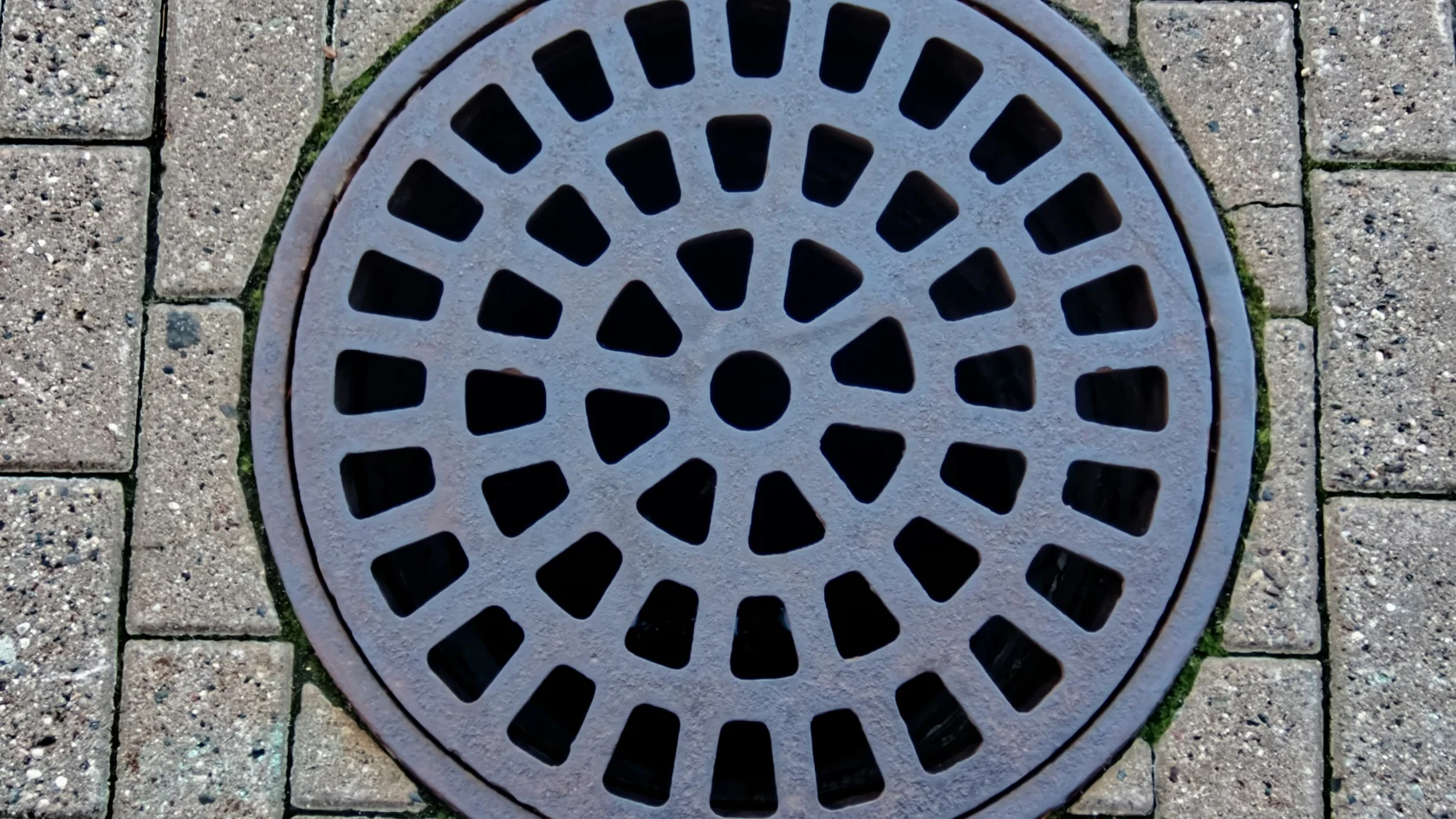 A circular metal drain cover.