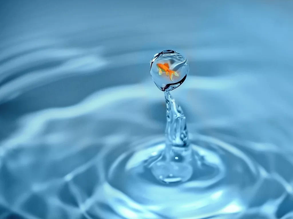 A small goldfish appears inside a water droplet rising above a rippling blue water surface, creating a surreal and imaginative scene.