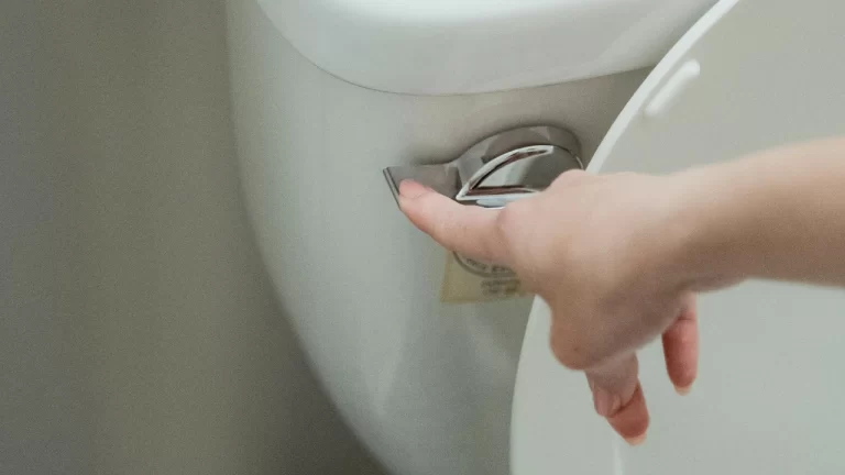 A hand is pressing down the silver flush lever on a white toilet, with the toilet lid partially raised.